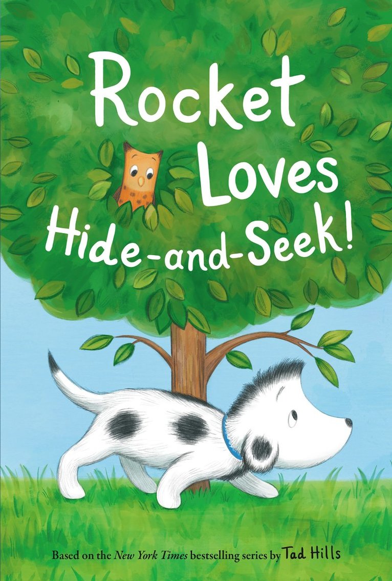 Tad Hills - Rocket Loves Hide-and-Seek!, Inbunden