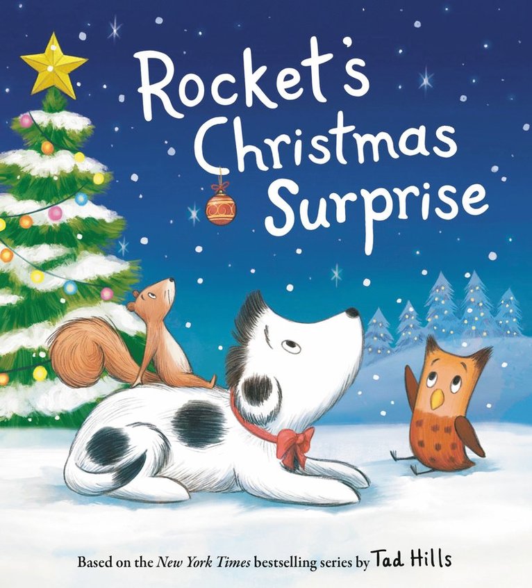 Tad Hills - Rocket's Christmas Surprise, Kartonnage