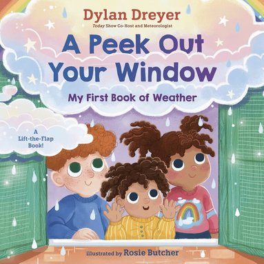 Dylan Dreyer, Rosie Butcher - Peek Out Your Window: My First Book of Weather, Kartonnage