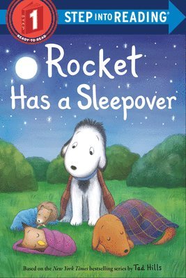 bokomslag Rocket Has a Sleepover