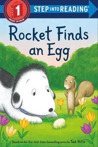 bokomslag Rocket Finds an Egg