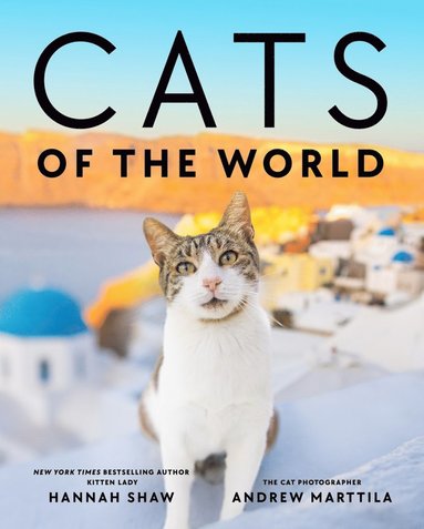 bokomslag Cats of the World