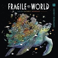 bokomslag Fragile World
