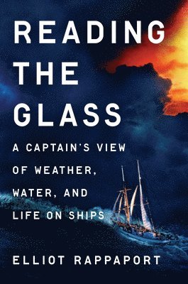 bokomslag Reading the Glass