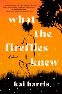 bokomslag What the Fireflies Knew