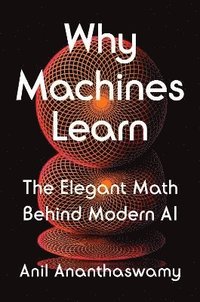 bokomslag Why Machines Learn: The Elegant Math Behind Modern AI