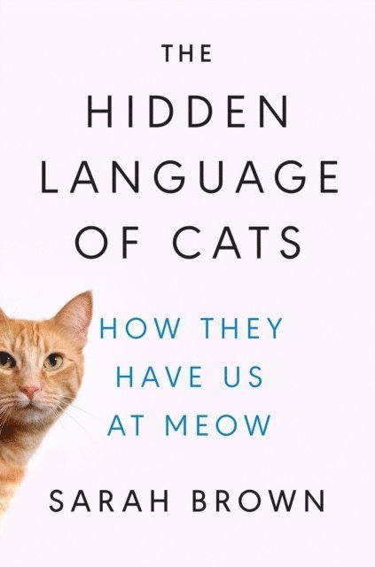 The Hidden Language of Cats: How They Have Us at Meow 1