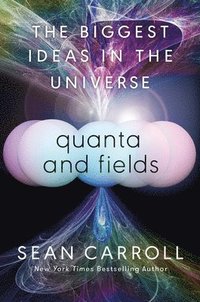 bokomslag Quanta and Fields: The Biggest Ideas in the Universe