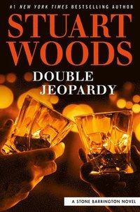 bokomslag Double Jeopardy
