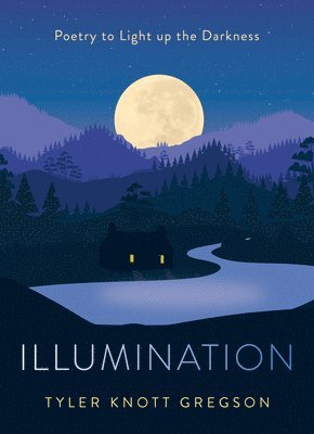 Illumination 1