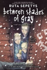 bokomslag Between Shades of Gray