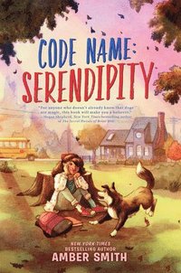 bokomslag Code Name: Serendipity