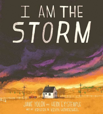 bokomslag I Am the Storm