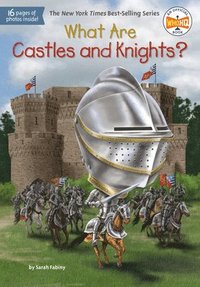 bokomslag What Are Castles and Knights?