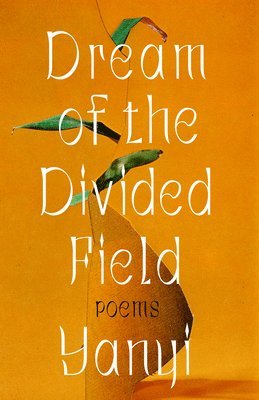 bokomslag Dream Of The Divided Field