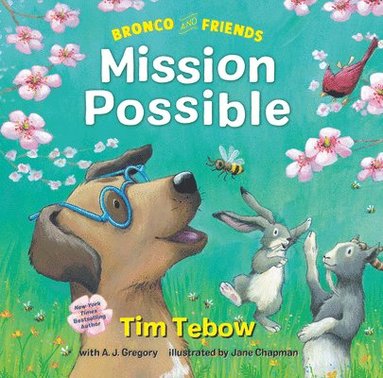 bokomslag Bronco and Friends: Mission Possible