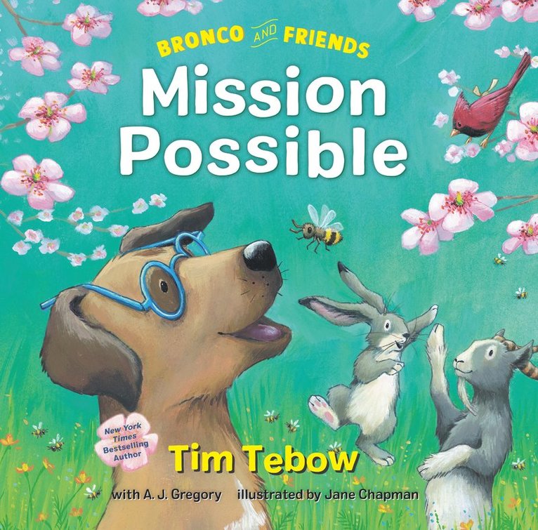 Bronco and Friends: Mission Possible 1