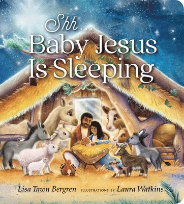 Lisa Tawn Bergren - Shh... Baby is Sleeping, Kartonnage