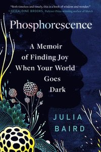 bokomslag Phosphorescence: A Memoir of Finding Joy When Your World Goes Dark