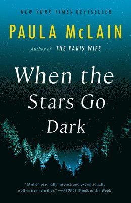 bokomslag When the Stars Go Dark