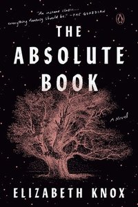 bokomslag The Absolute Book
