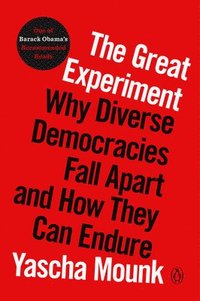 bokomslag The Great Experiment: Why Diverse Democracies Fall Apart and How They Can Endure