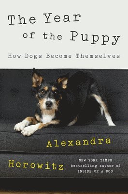 The Year of the Puppy: How Dogs Become Themselves 1
