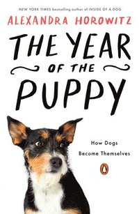 bokomslag The Year of the Puppy: How Dogs Become Themselves