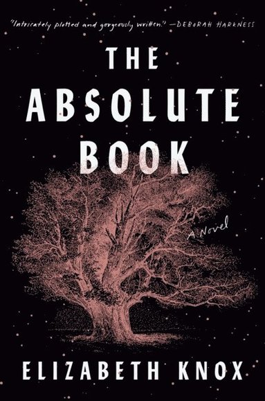 bokomslag Absolute Book
