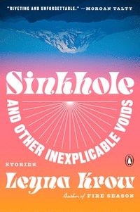 bokomslag Sinkhole, and Other Inexplicable Voids: Stories