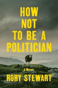 bokomslag How Not to Be a Politician: A Memoir