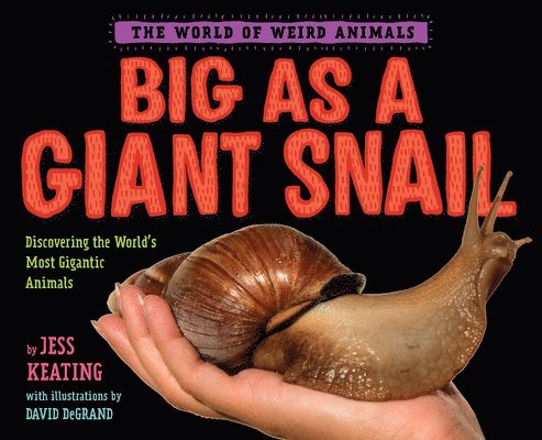 Big as a Giant Snail 1
