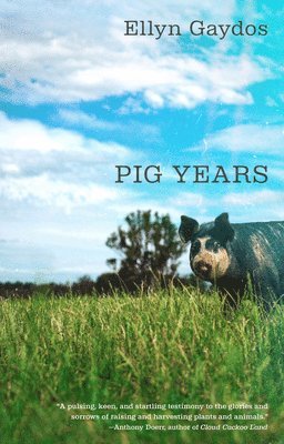 Pig Years 1