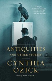 bokomslag Antiquities and Other Stories