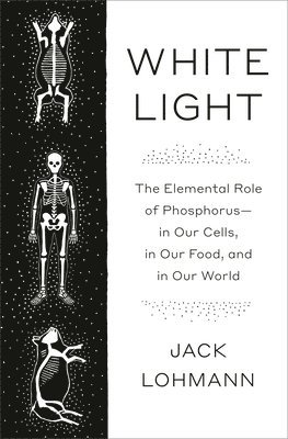 bokomslag White Light: The Elemental Role of Phosphorus-In Our Cells, in Our Food, and in Our World
