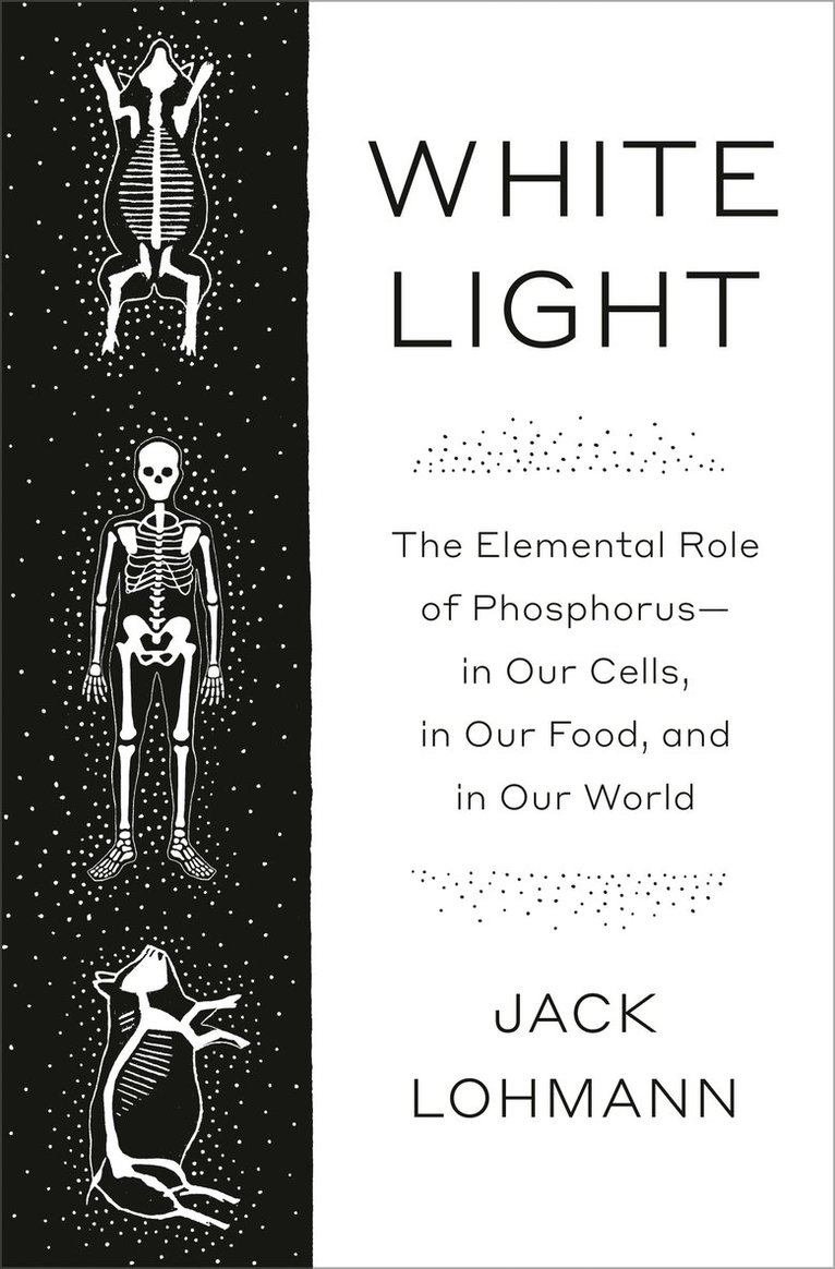 White Light: The Elemental Role of Phosphorus-In Our Cells, in Our Food, and in Our World