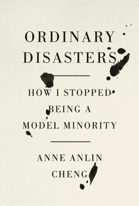 bokomslag Ordinary Disasters: How I Stopped Being a Model Minority