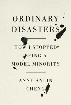 Ordinary Disasters: How I Stopped Being a Model Minority 1