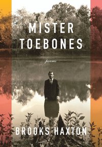 bokomslag Mister Toebones