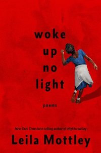 bokomslag Woke Up No Light: Poems