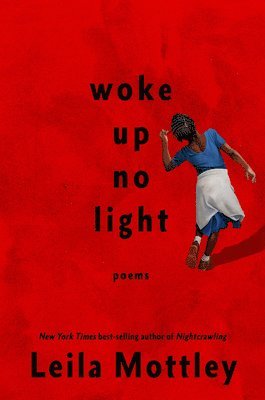 bokomslag Woke Up No Light: Poems