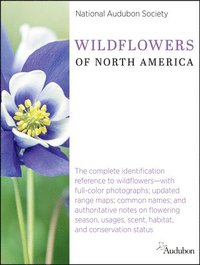 bokomslag National Audubon Society Wildflowers of North America