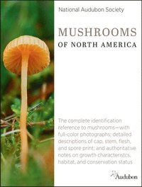 bokomslag National Audubon Society Mushrooms of North America