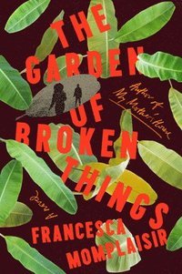 bokomslag The Garden of Broken Things