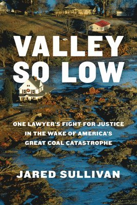 bokomslag Valley So Low: One Lawyer's Fight for Justice in the Wake of America's Great Coal Catastrophe