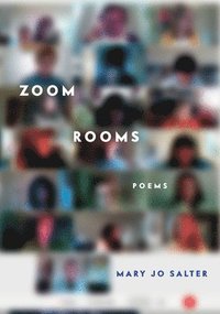 bokomslag Zoom Rooms