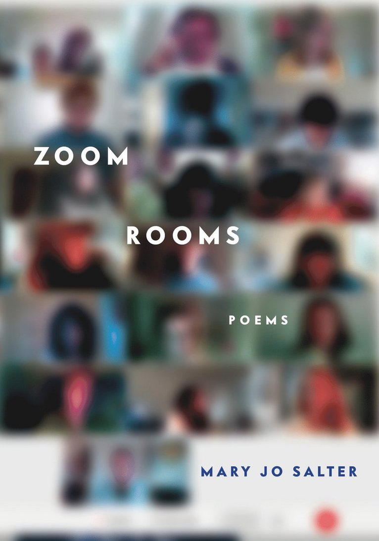 Mary Jo Salter - Zoom Rooms, Inbunden