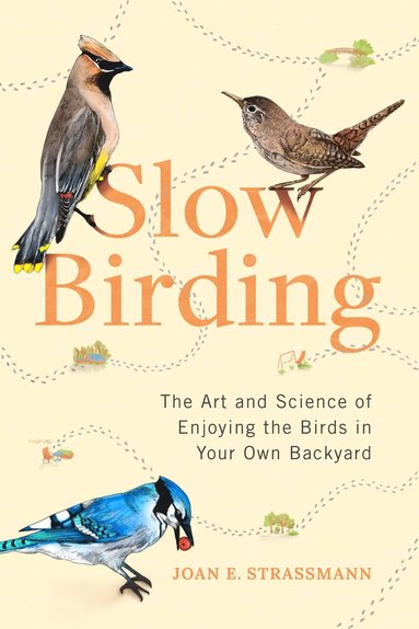 bokomslag Slow Birding