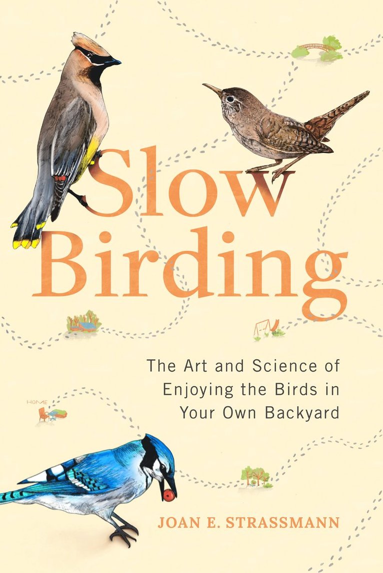 Slow Birding 1