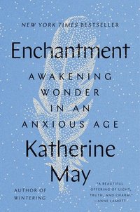 bokomslag Enchantment: Awakening Wonder in an Anxious Age